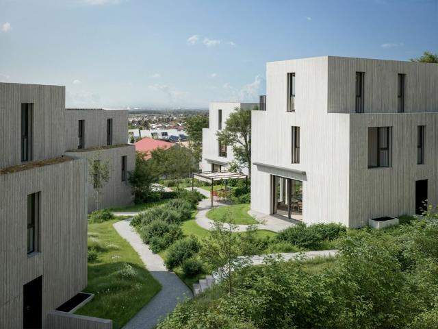 Einfamilienhaus kaufen in Riehen, Basel-Stadt