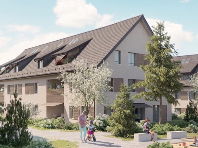 Dachwohnung kaufen in Birr, Aargau