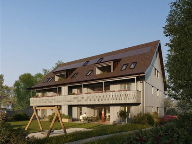 Wohnung kaufen in Gossau (ZH), Zürich