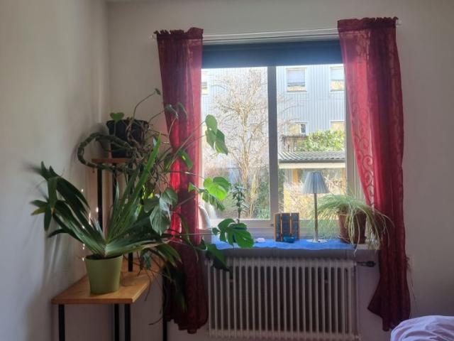 Rum hyra i Göteborg, Västra Götaland
