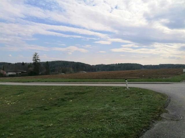 Grundstück kaufen in Sinabelkirchen, Steiermark