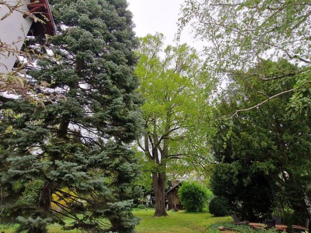 Haus kaufen in KG Hietzing, Wien
