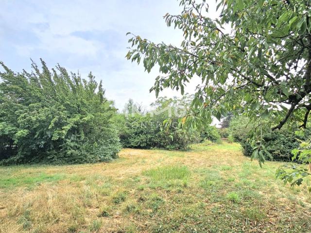 Grundstück kaufen in Nickelsdorf, Burgenland