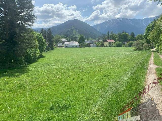 Grundstück kaufen in Puchberg am Schneeberg, Niederösterreich