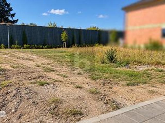 Landwirtschaft kaufen in Muggensturm, Landkreis Rastatt