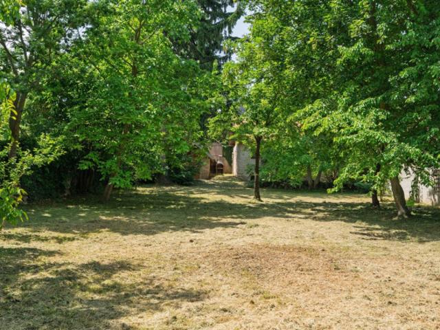 Grundstück kaufen in Steinbach, Ernstbrunn