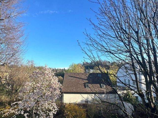 Immobilie kaufen in Wels, Oberösterreich