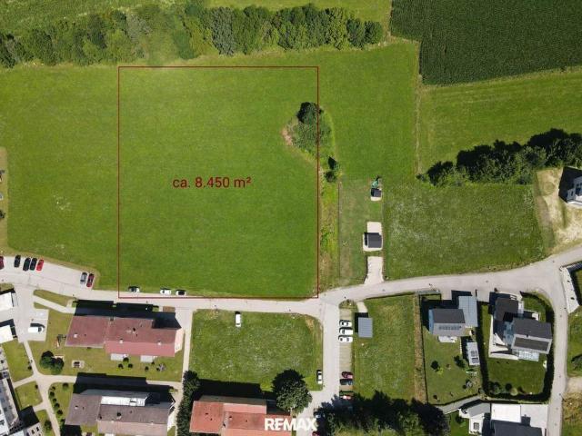 Grundstück kaufen in Völkermarkt, Kärnten