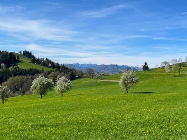 Immobilie kaufen in Wang, Niederösterreich