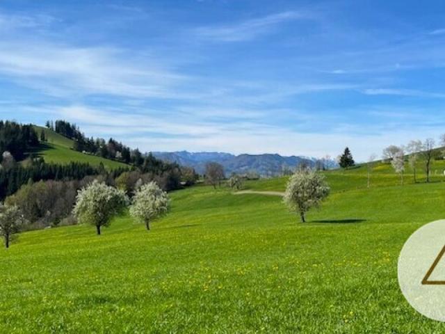 Grundstück kaufen in Randegg, Niederösterreich