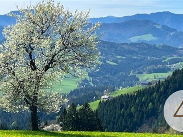 Grundstück kaufen in Randegg, Niederösterreich