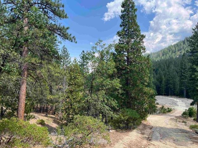 Land for sale in Janesville, Lassen County