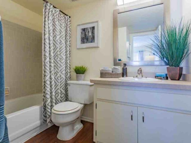 Apartment for rent in Florida