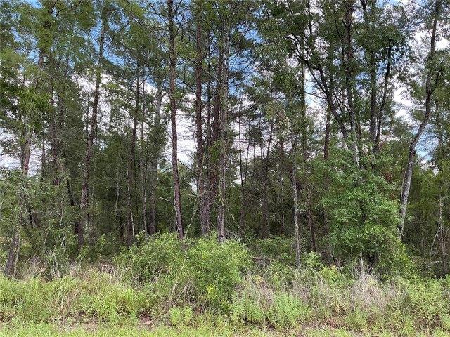 Land for sale in Ocklawaha, Florida
