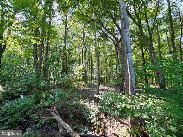 Land for sale in Stevensville, Maryland