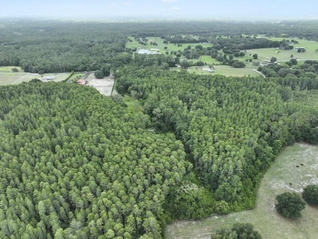 Land for sale in Groveland