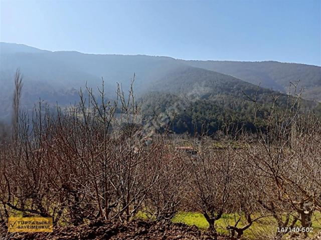 Bayindir, İzmir içerisinde satılık mülk