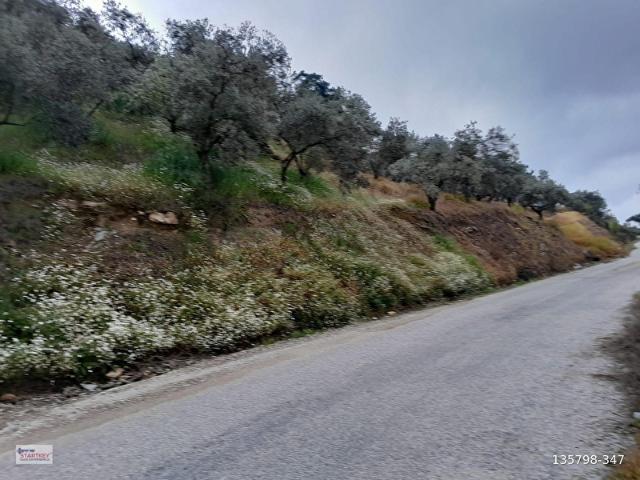 Bayindir, İzmir içerisinde satılık mülk