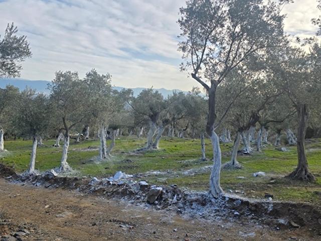 Bayindir, İzmir içerisinde satılık mülk
