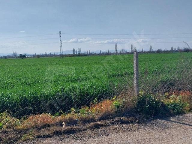 Bayindir, İzmir içerisinde satılık Arsa