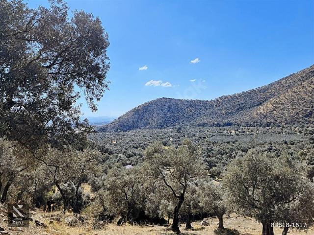 Bayindir, İzmir içerisinde satılık mülk