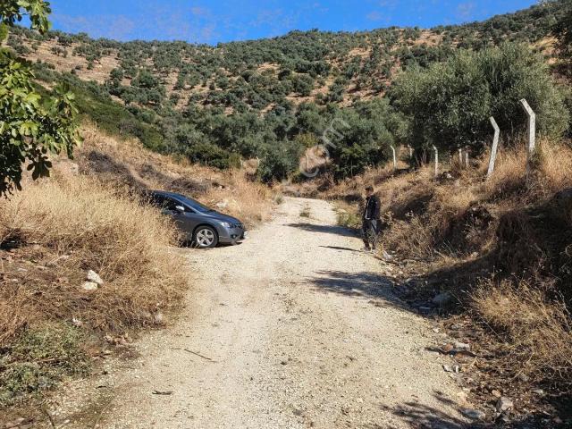 Zeytinova Mahallesi, Bayındır içerisinde satılık Bahce kati