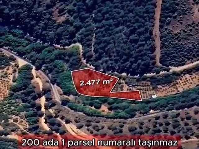 Bayindir, İzmir içerisinde satılık mülk