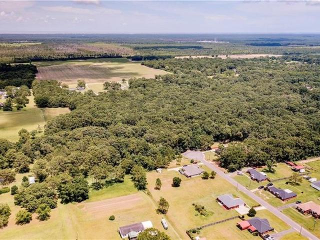 Land for sale in Alabama