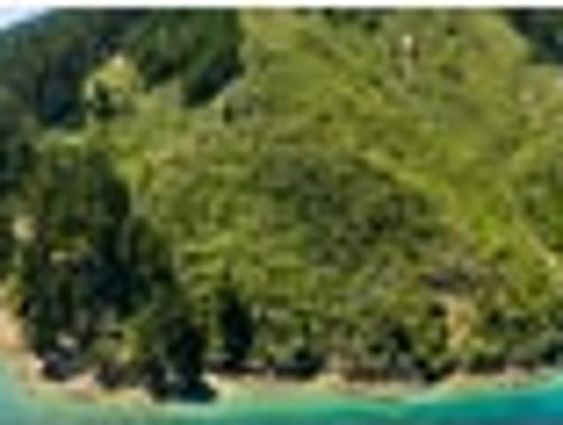 Land for sale in Marlborough