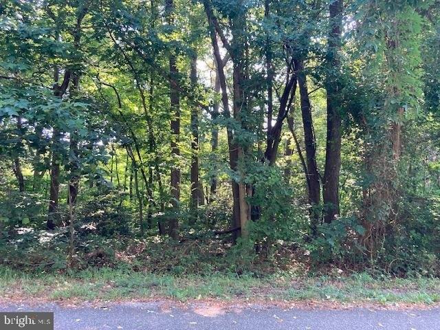 Land for sale in Virginia