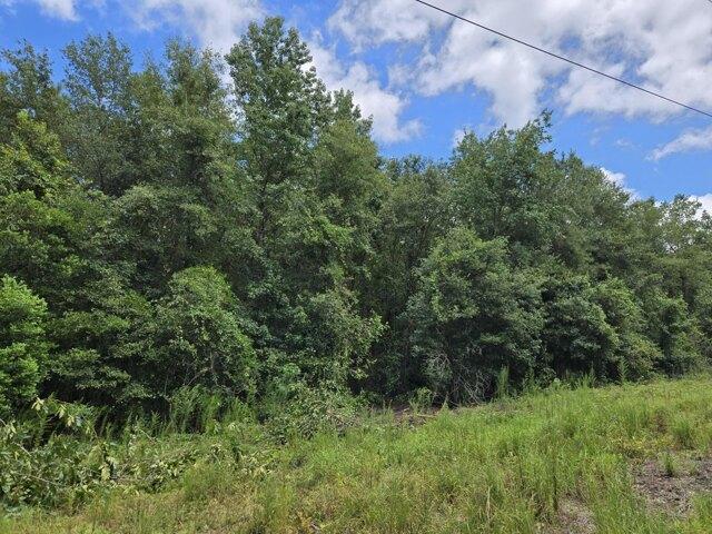 Land for sale in Beech Island Land for sale in Beech Island