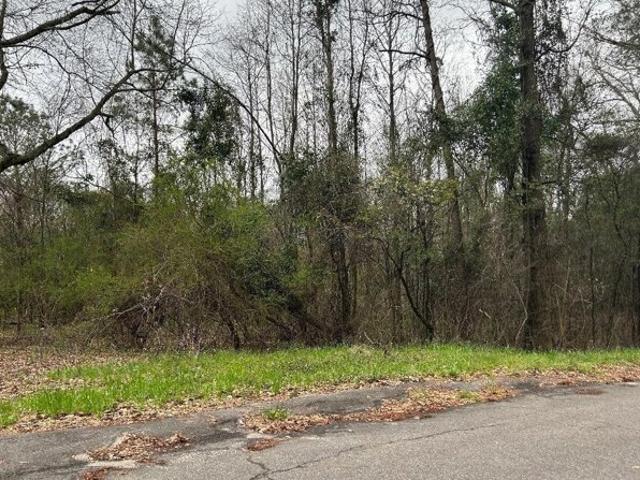 Land for sale in Beech Island