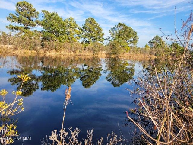Land for sale in Harrells, North Carolina