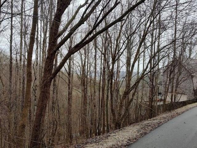 Land for sale in Lancaster