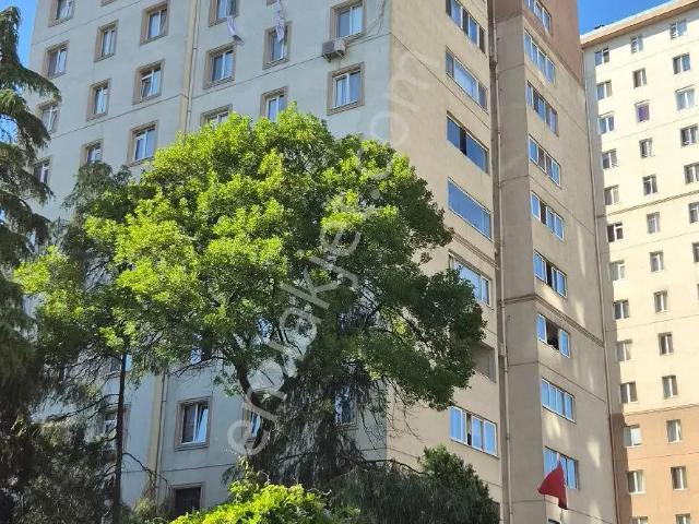 Kadiköy, İstanbul içerisinde satılık mülk