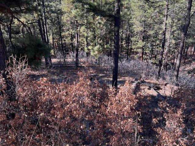 Land for sale in Bayfield