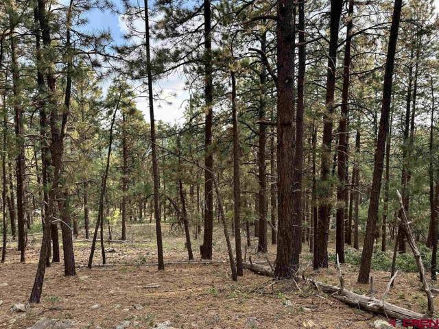 Land for sale in Bayfield Land for sale in Bayfield