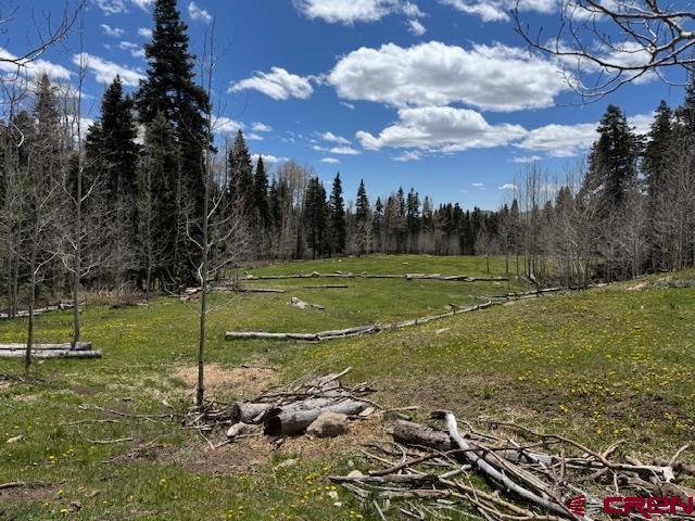 Land for sale in Bayfield
