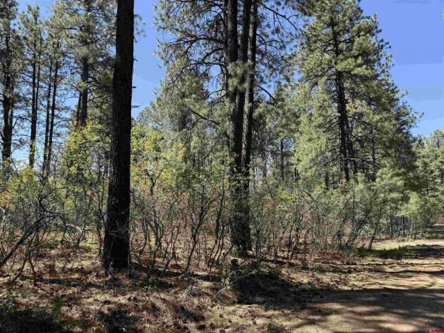 Land for sale in Bayfield