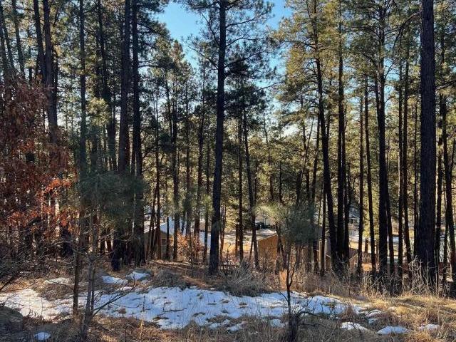 Land for sale in Bayfield Land for sale in Bayfield