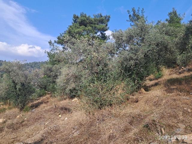 Bayindir, İzmir içerisinde satılık mülk