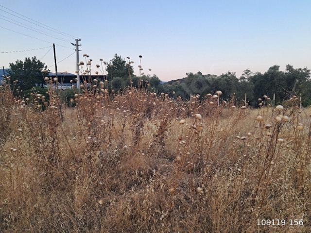 Bayindir, İzmir içerisinde satılık Arsa