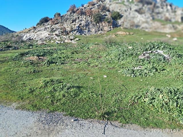 Bayindir, İzmir içerisinde satılık Arsa