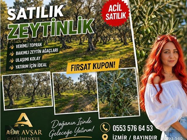 Bayindir, İzmir içerisinde satılık mülk