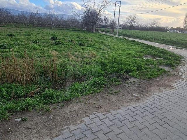 Bayindir, İzmir içerisinde satılık Arsa