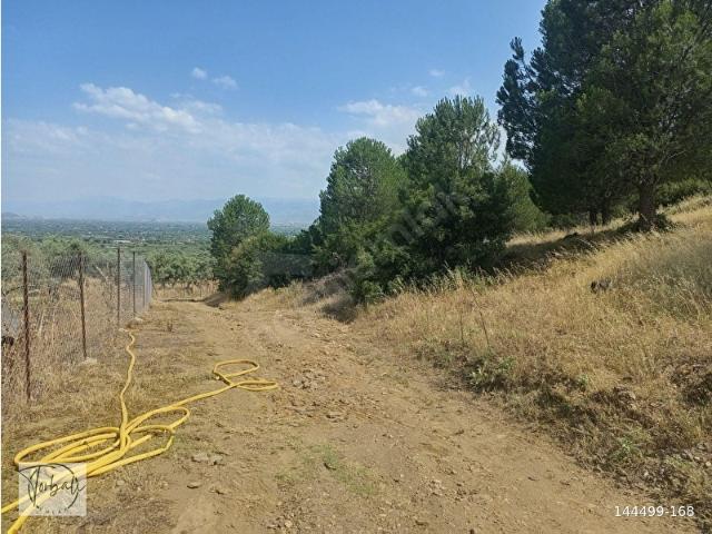 Bayindir, İzmir içerisinde satılık Arsa