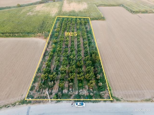 Bayindir, İzmir içerisinde satılık Arsa