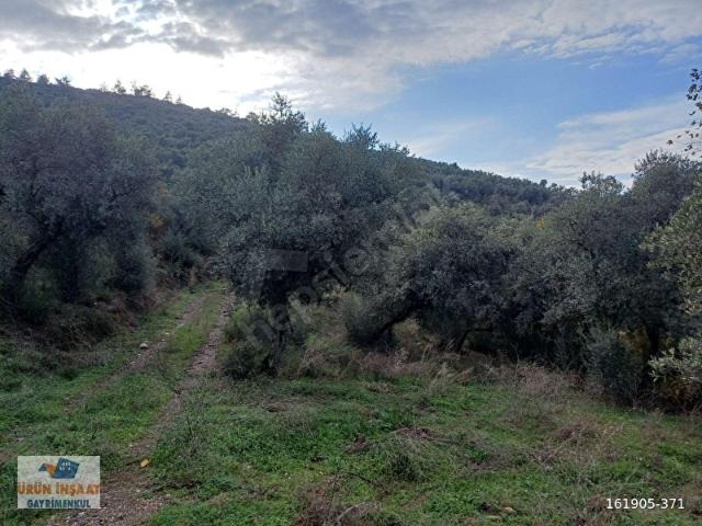 Bayindir, İzmir içerisinde satılık mülk