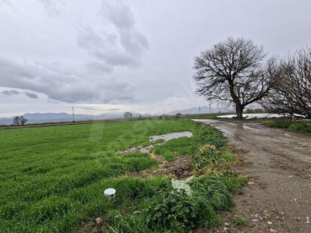 Bayindir, İzmir içerisinde satılık Arsa