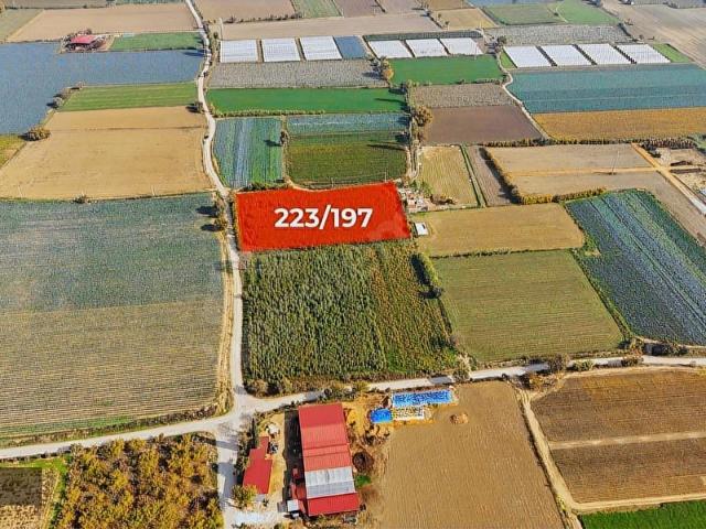 Bayindir, İzmir içerisinde satılık Arsa
